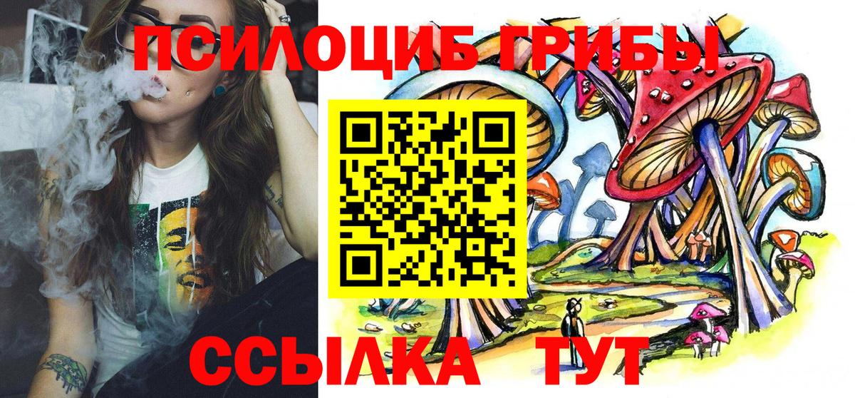 Галлюциногенные грибы прущие грибы  Вход с VPN  Луга  Псилоцибиновые грибы ЛСД 